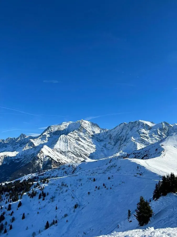 Willa Chalet Cocoon Vue Montblanc Saint-Gervais-les-Bains 0*,